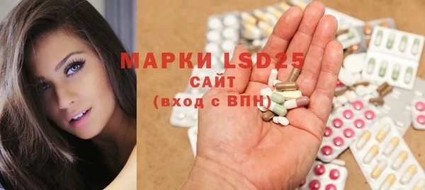 мяу мяу мука Аркадак